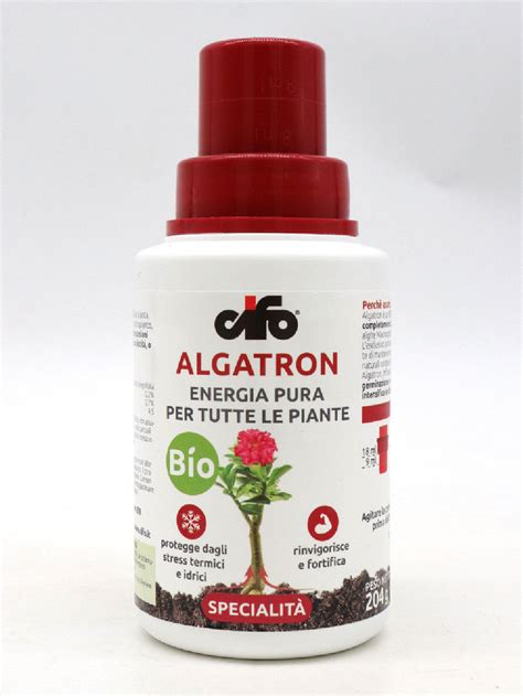 Algatron - Cifo