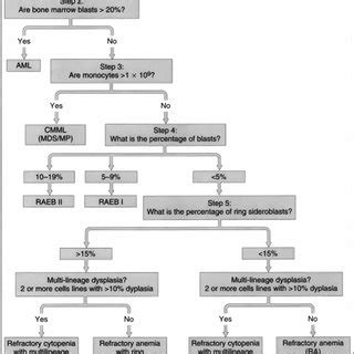 Algorithm for diagnosis and classification of MDS according to the WHO