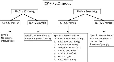 Algorithms for the therapeutic strategies for the ICP + PbtO 2 …