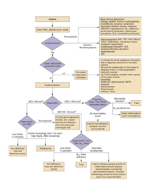 Algoritma Anemia: Practical Algorithms in Anemia Diagnosis - Mayo Clinic image 1