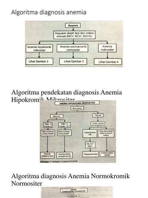 Algoritma Anemia