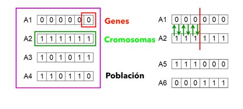Algoritmo Genetico Final