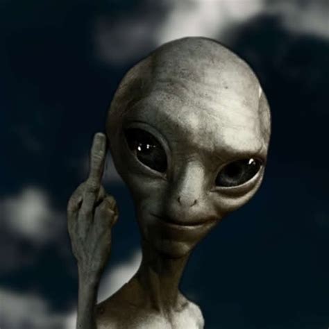 Alian&ccedil;as LGBT