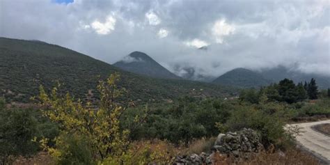 Alibeycagilli Halı ve Koltuk Yıkama