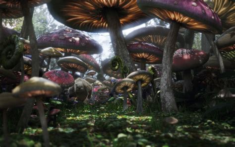 Alice Forest Leaks +18 🍆 146 Vids