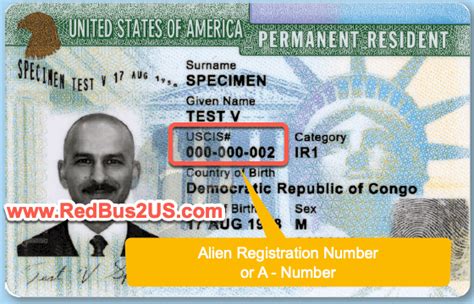 Alien Registration Number - How to Find Your A-Number 2024 - VisaNat…