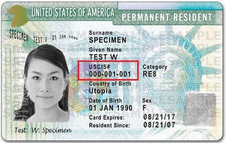 Alien Registration Number Explained Home Security Gambaran