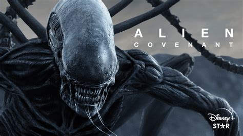 Alien covenant stream. Information about streaming services showing Alien: Covenant. Our data shows that the Alien: Covenant is available to stream on Disney+ and Netflix. We also checked other leading streaming services including Prime Video, Apple TV+, Binge, Google Play and Foxtel Now, Stan. Alien: Covenant is not available on any of them at this time. 