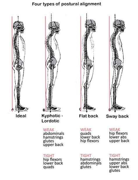 Align Your Spine