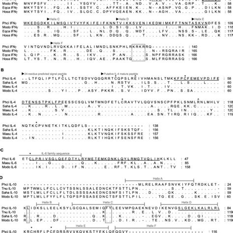 Alignment Of Deduced Amino Acid Sequence Of Koala A Ifng B Il 4 Download Scientific Diagram