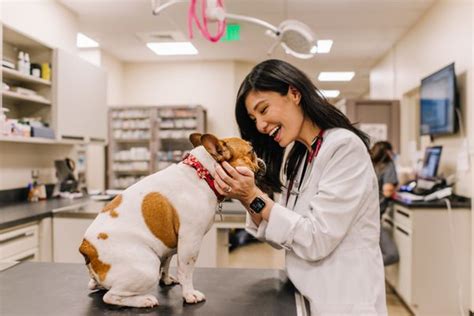 Alii animal hospital. Aloha Animal Hospital. - Over 30 Years of Experience. - Thorough Exams for Diagnosis. -Management of Lifetime Conditions Such as Allergies, Degenerative Disc Disease, Diabetes and ETC. (808) 734-2242. 