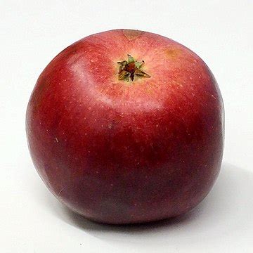 Aliiceapple Onlyfans Leak +18 200 Pics