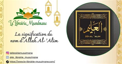 Alim Halı ve Koltuk Yıkama