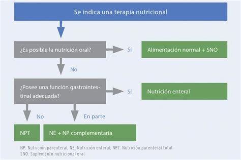 Alimentacion Enteral Trofica Duracion 2017