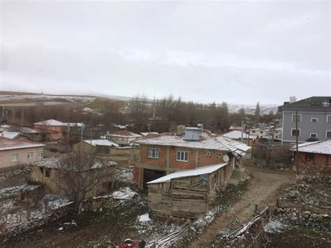 Aliozu Halı ve Koltuk Yıkama