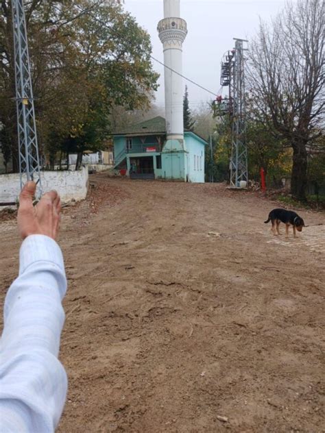 Aliplar Halı ve Koltuk Yıkama