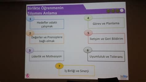 Alisanlar Halı ve Koltuk Yıkama