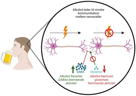 Alkohol pulshöjande