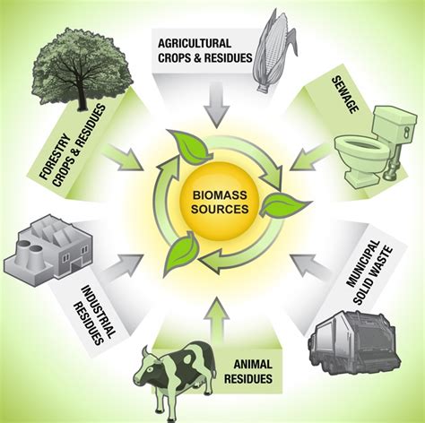 All About Biomass