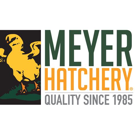 All About Brooding Meyer Hatchery Blog