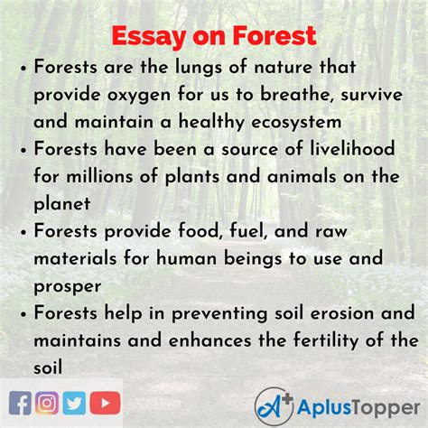 All About Forest Institute