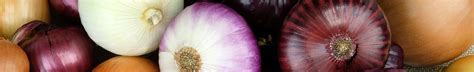 All About Onions - National Onion Association