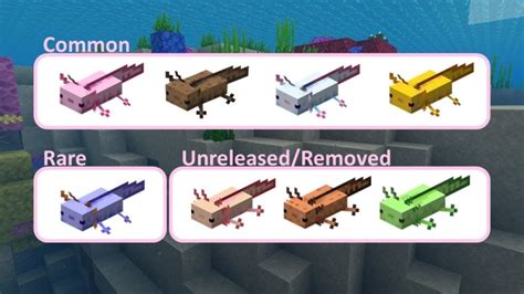 All Axolotl Colors in Minecraft