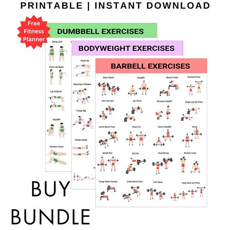 All Body Gym Set Chart