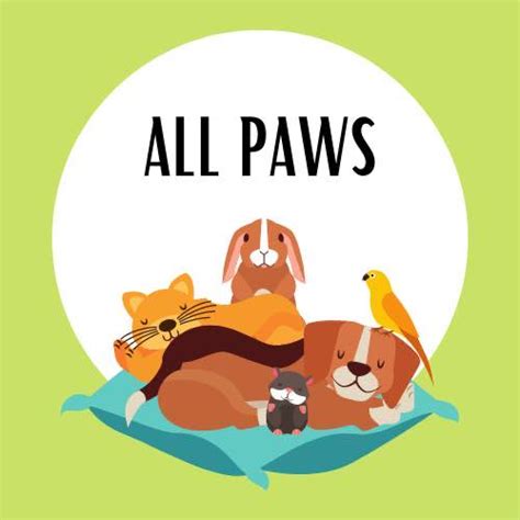 All Paws Sevenoaks - Facebook