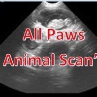 All Paws ultrasound & Microchipping Minster - Facebook