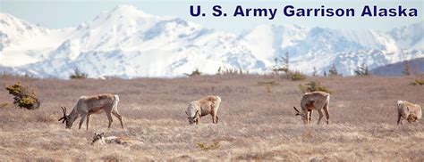 All Programs USAG Alaska, Greely Contact Info, Phone Numbers ...