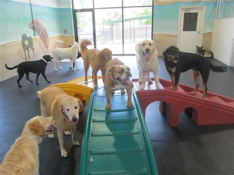 All american pet resort roseville michigan. All American Pet Resorts Lakeshore, Roseville, Michigan. 2,456 likes · 144 talking about this · 520 were here. We offer luxury dog boarding, daycare & grooming. Unlike most dog boarding companies, we... 