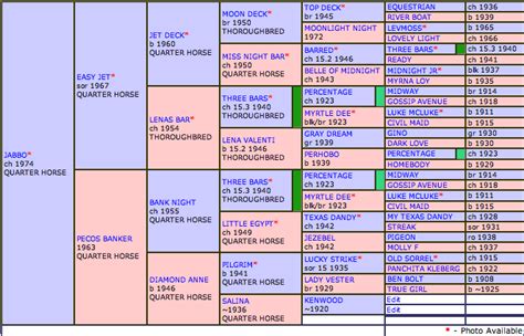 All breed pedigree for horses. Thoroughbred only Pedigree Database with 1,000,000+ horses. Pedigree Online's dog database offers free pedigree reports for millions of dogs of all breeds and is completely open to the public. Use the search form above to find a dog pedigree now. Pedigree Online's All Breed pedigree database consists of more than 6.4 million horses from around ... 