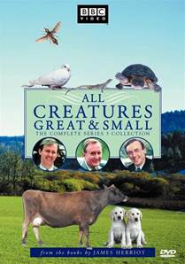 All creatures great and small study guide. - Manual de hp touchsmart 310 pc.