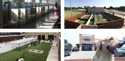 All dogs unleashed. All Dogs Unleashed - Prescott, AZ, Prescott Valley, Arizona. 309 likes · 2 talking about this · 1 was here. Professional Dog Training. Best training in town. Guaranteed results. Support for the life... 