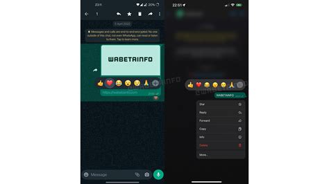 All emojis will soon be available to use as a react in a future WhatsApp update TechRadar