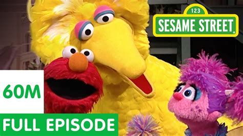 Sesame Street: Created by Joan Ganz Cooney, Lloyd Morrisett Jr.. With Caroll Spinney, Jerry Nelson, Martin P. Robinson, Frank Oz. On a special inner city street, the inhabitants, human and muppet, teach preschool subjects with comedy, cartoons, games, and songs..