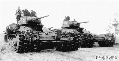 All kinds of T-34 special tanks - iMedia - Donuts