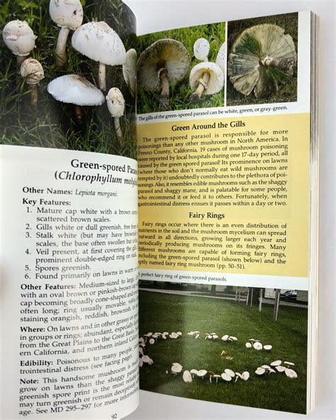All that the rain promises and more a hip pocket guide to western mushrooms. - Spectroscopic ellipsometry and reflectometry a user s guide.
