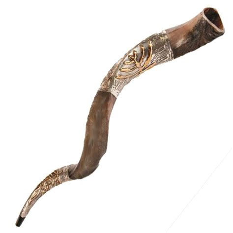 All the shofaras are controlled by the rabbis because the instruments