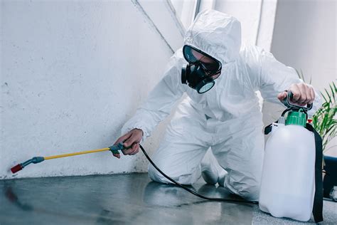All you need pest control. Things To Know About All you need pest control. 