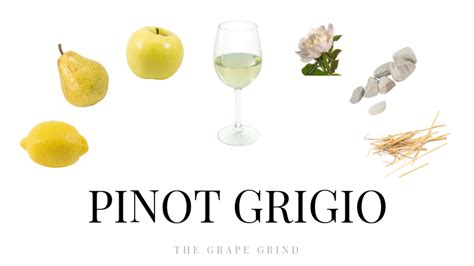 All you need to know about Pinot Grigio: A quick guide