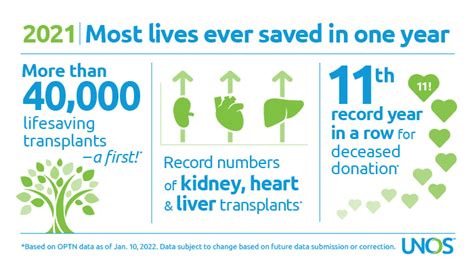 All-time records again set in 2024 for organ transplants, organ