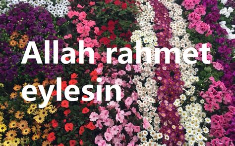 Allah rahmet eylesin #ferideozdinco #ahmetcandündar. 