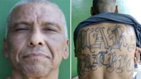 Alleged Mara Salvatrucha gang leader arrested in Mexico City