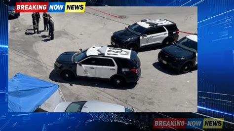 Alleged knife-wielding man fatally shot by police officers in Northridge