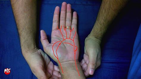 Allen Test Anatomy and how to perform serwer2311392.home.pl
