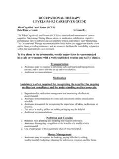 Allen Testing And Cognitive Levels Caregiver Guide