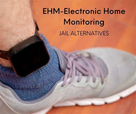 Allen jail roster.  ** Individuals on EHM - Electronic Home Monitoring- are ...
