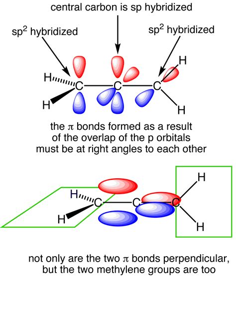 Profile picture of Allene Schoen